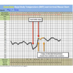 Fertility Charting - Identifying your Peak Day - Zoom Baby